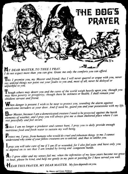 Click for a larger picture...
					   - Thanks for visiting OldDawgs.com