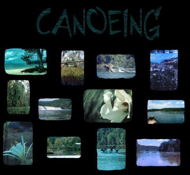 Photographs taken from on, in or near the water...
	 - Thanks for visiting OldDawgs.com