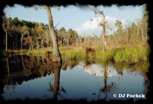 Click for more photo's from this trip...
	- Thanks for visiting OldDawgs.com