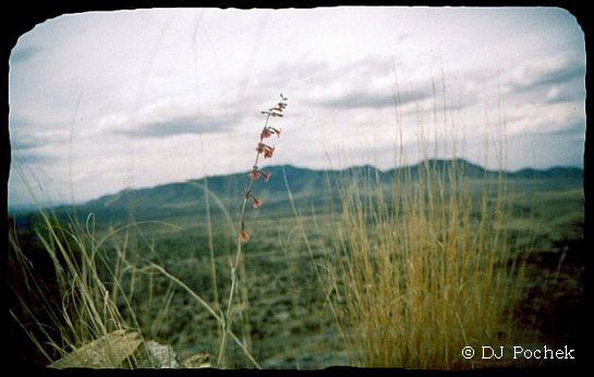 It sure is a long way back down...
	 - Thanks for visiting OldDawgs.com