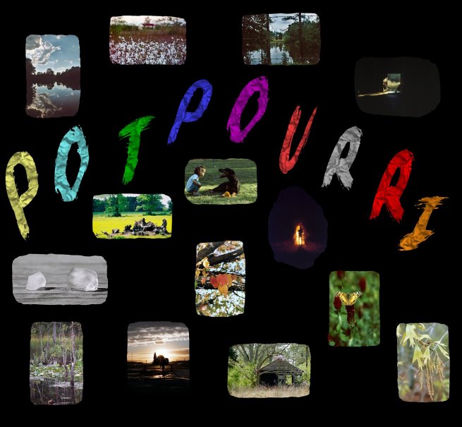 An eclectic mix of photographs...
	 - Thanks for visiting OldDawgs.com