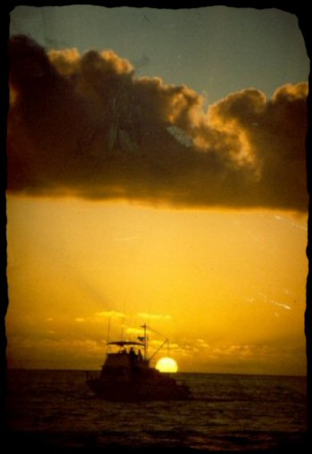 Funny how things turn out  ; ) 
	 - Thanks for visiting OldDawgs.com