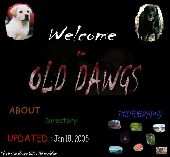 Welcome to OldDawgsS.com - A photography based site. We use image maps for some links so be sure to roll-over all images. There's some hidden surprises. We also use some Javascript to hide e-mail links from robots/spammers...Thanks for visiting OldDawgs.com